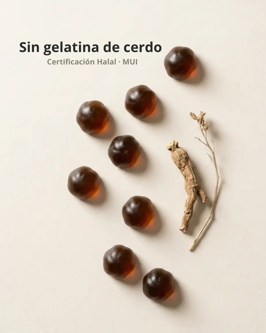 Gominolas de Ashwagandha sin gelatina de cerdo con certificacion halal MUI